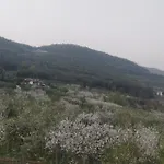 L'albara - Wines, Pool & * Villaganzerla