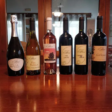 L'albara - Wines, Pool & 팜스테이 Villaganzerla