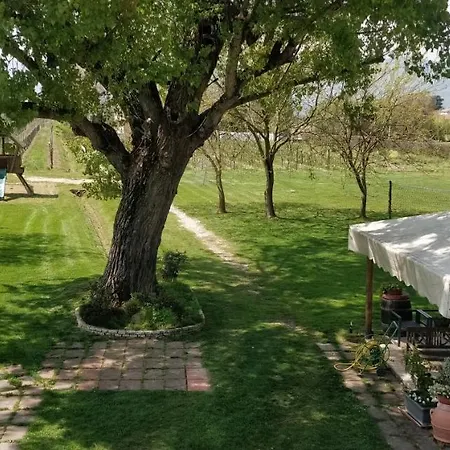 L'albara - Wines, Pool & Vakantieboerderij *