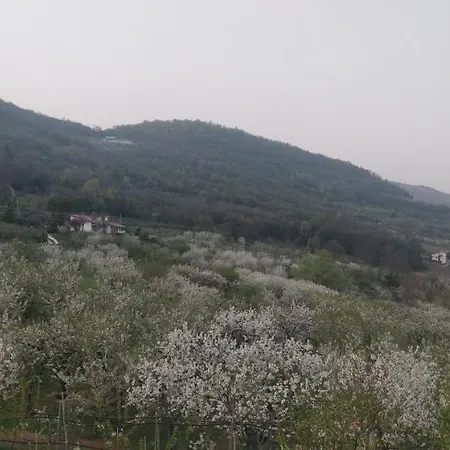 L'albara - Wines, Pool & * Villaganzerla