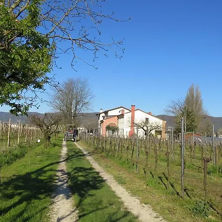 팜스테이 L'albara - Wines, Pool & Villaganzerla