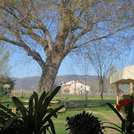 Vakantieboerderij L'albara - Wines, Pool &
