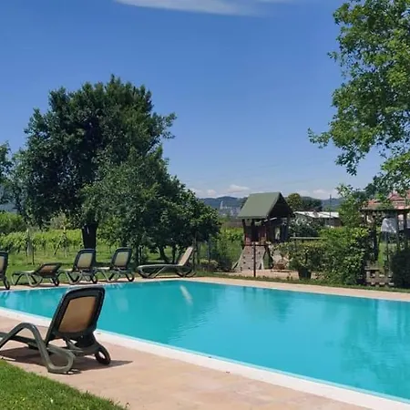 L'albara - Wines, Pool & *