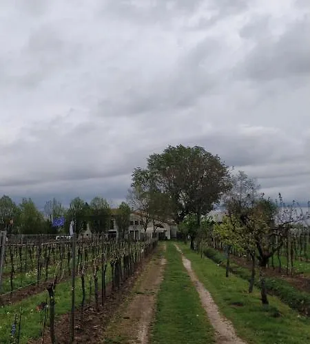Κατάλυμα σε φάρμα L'albara - Wines, Pool &