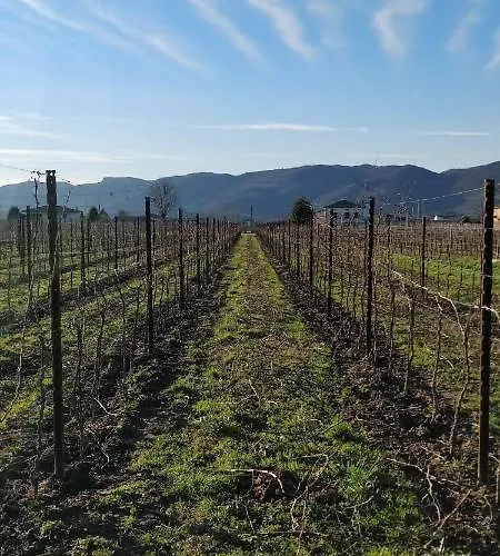 L'albara - Wines, Pool & Κατάλυμα σε φάρμα Villaganzerla