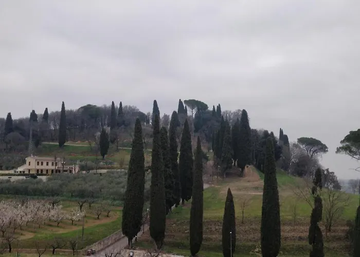 L'albara - Wines, Pool & Villaganzerla