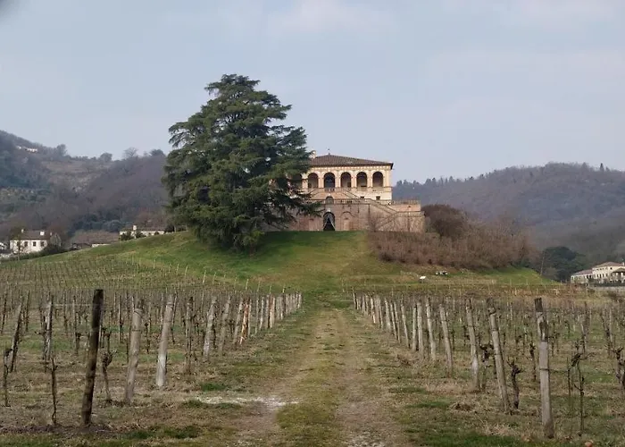 Séjour à la ferme L'albara - Wines, Pool & *