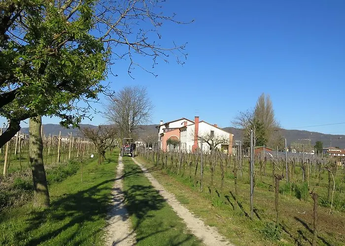 Κατάλυμα σε φάρμα L'albara - Wines, Pool & Villaganzerla
