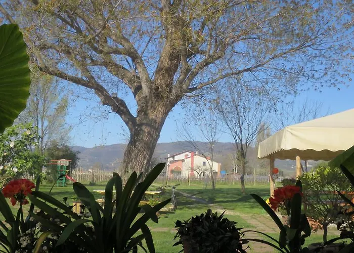 Séjour à la ferme L'albara - Wines, Pool &
